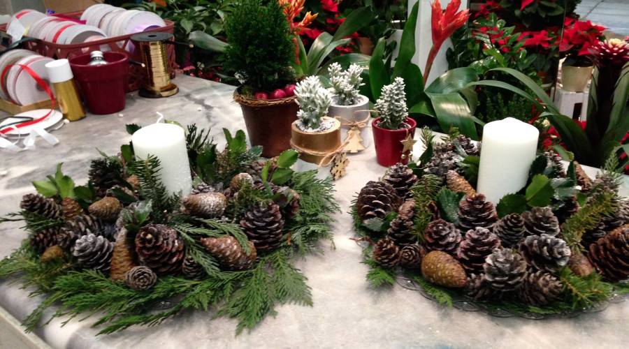 ΑΝΘΗ για ΤΕΛΕΤΕΣ (Διονυσόπουλος)