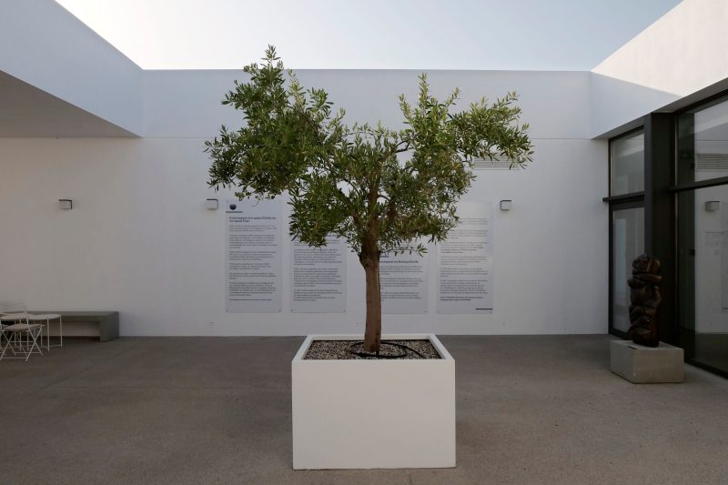 ΑΠΟΤΕΦΡΩΤΗΡΙΟ ΡΙΤΣΩΝΑΣ